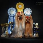 Аватара пользователя