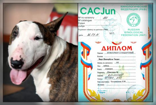 2-я награда.jpg