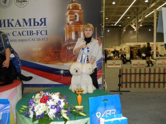 Бишоны_родители.jpg