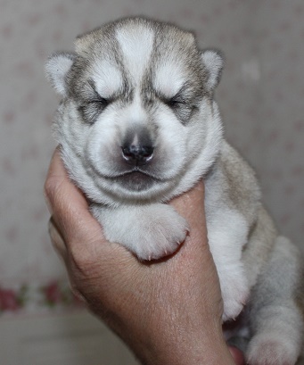 мальчик 1