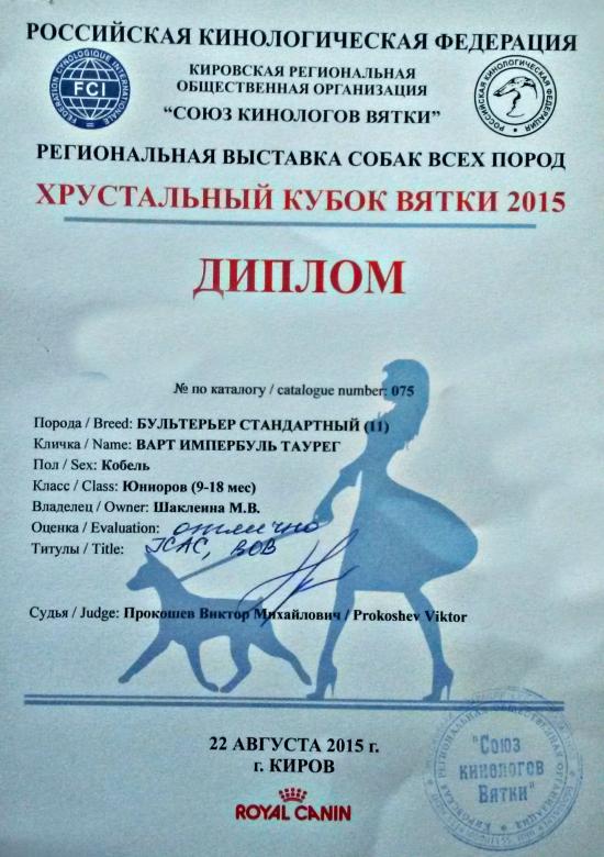 20150823_120246.jpg