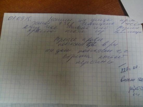 ,чек3.jpg