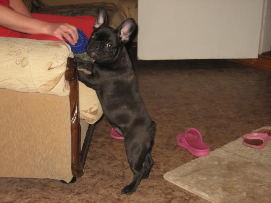 201105 21 007.jpg