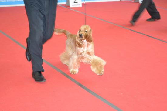 DSC_0062.JPG