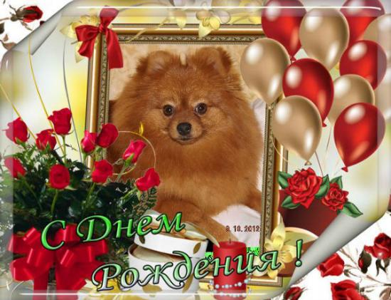 С ДНЕМ РОЖДЕНИЯ!!!