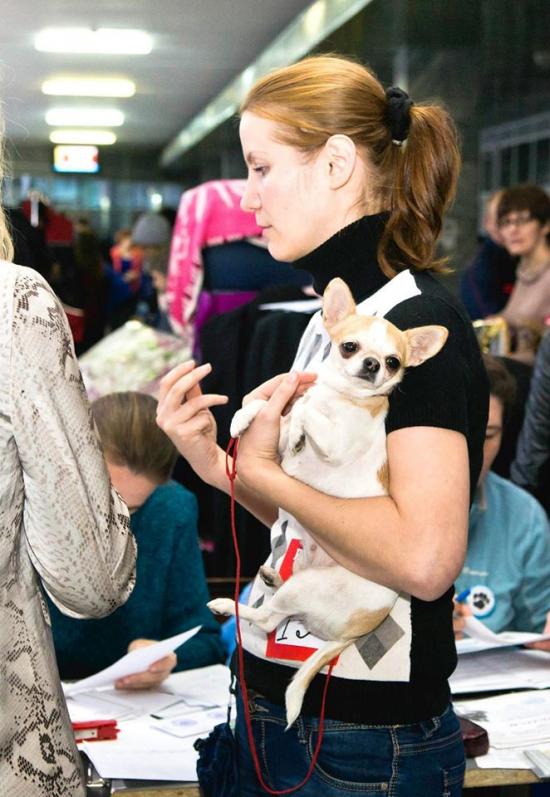 костарева 3.jpg