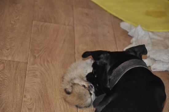 _DSC0188.JPG