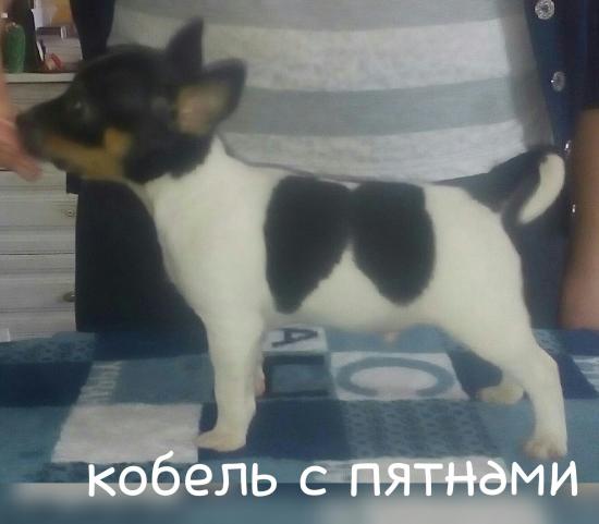 1453271745666-1.jpg