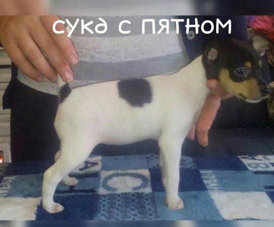 1453271645179-1.jpg