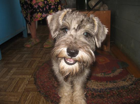 Сад 2011 027.jpg