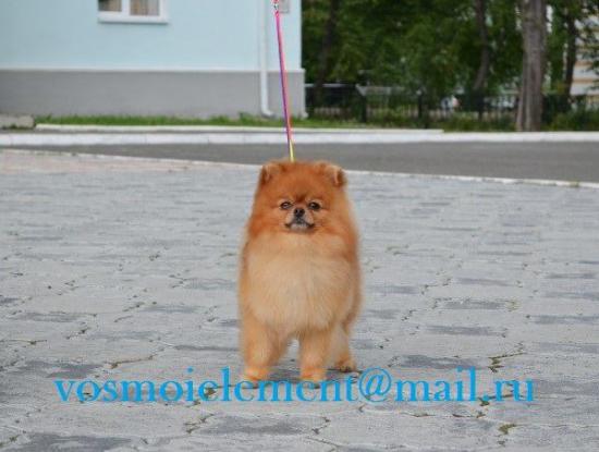 Федя).jpg
