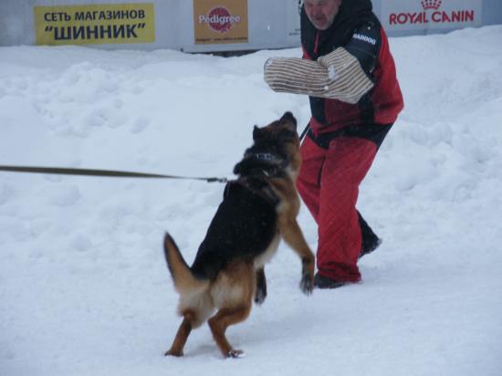 DSCF1491.JPG