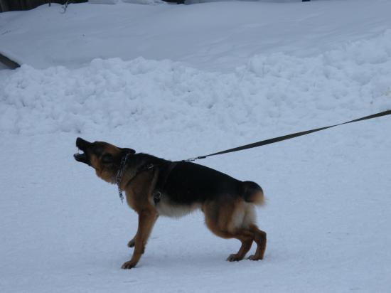 DSCF1516.JPG