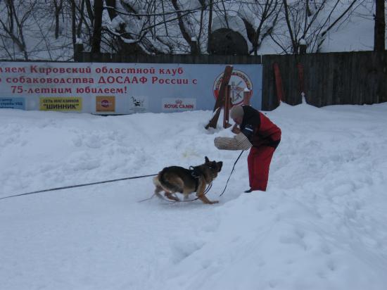 DSCF1537.JPG
