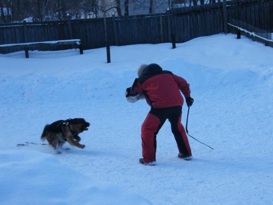 DSCF1576.JPG