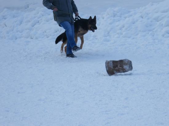 DSCF1568.JPG
