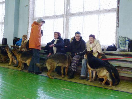 в ожидании рингов