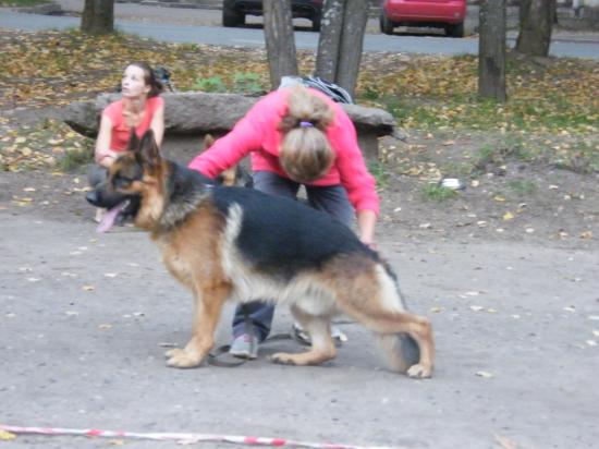 DSCF1984.JPG