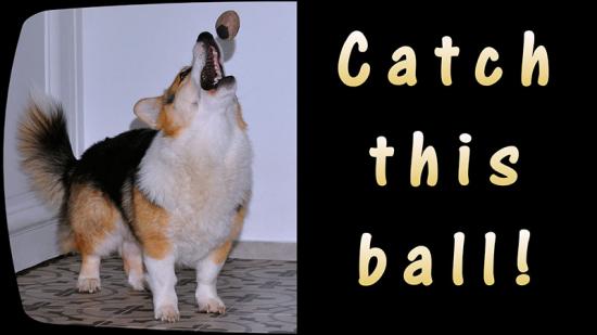 1ball.jpg