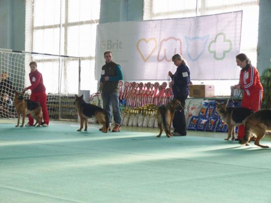 P1020945_thumb.jpg