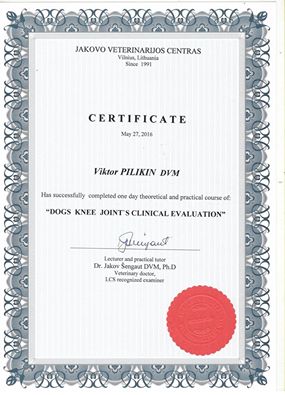 Сертификат_Пиликин В.А..jpg