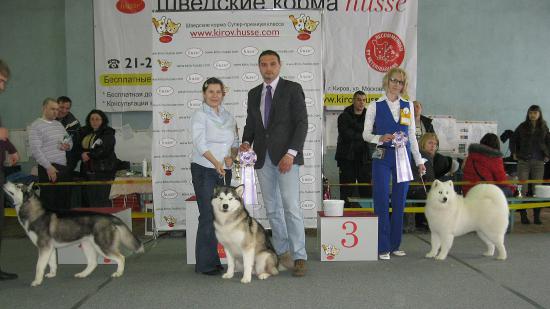 Выставка.jpg