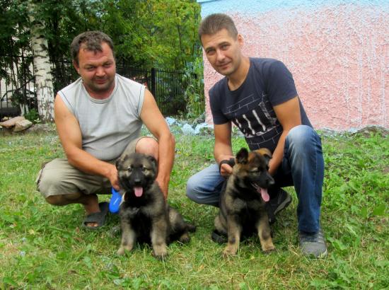 прививка8.jpg