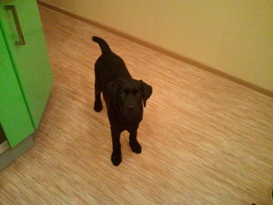 2012-03-25 20.59.55.jpg