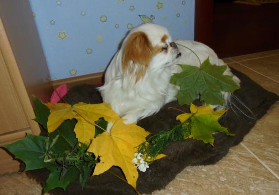 DSC00567.JPG