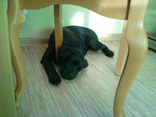 2012-03-26 17.29.45.jpg