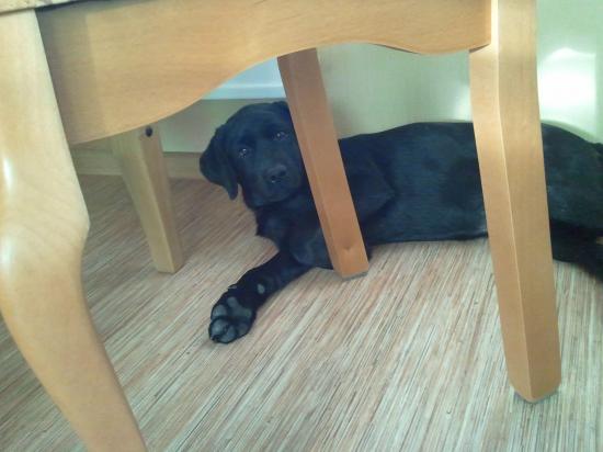 2012-03-26 17.30.00.jpg