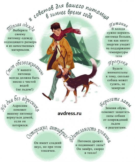 Советы в зимнее время.jpg