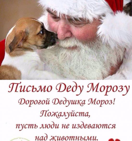 Деду Морозу.jpg