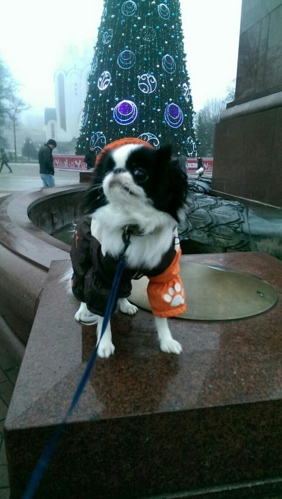 АСЯ КАЛИНИНГРАД НОВЫЙ ГОД.jpg