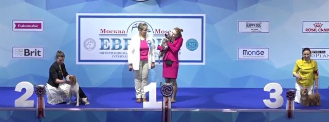 nonfci_640x238.jpg