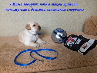 1Т1IMG_11441.jpg