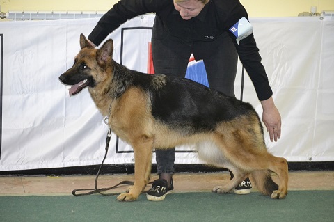 Вольфенкрафт Юлька, 9 мес.