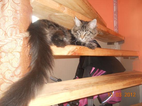 ЗЕВС 009.JPG