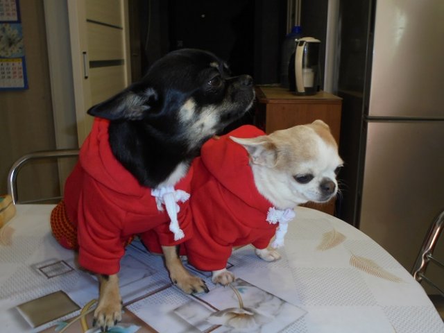 DSC07962.JPG