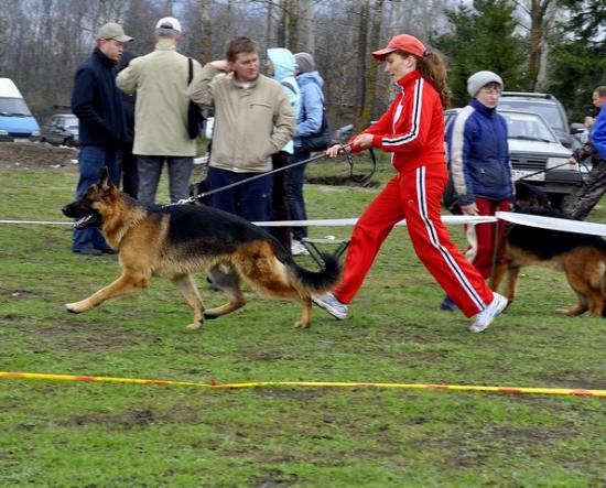 Викинг с Вятских холмов