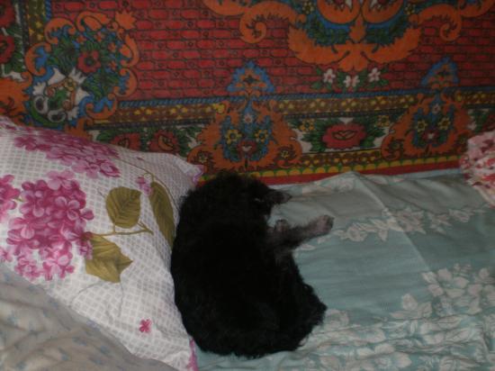 P1010002.JPG