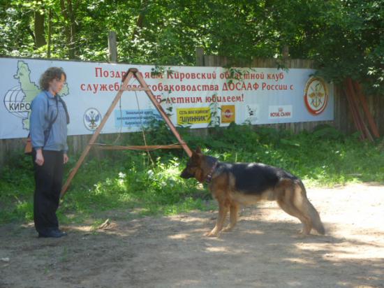 P1030737.JPG