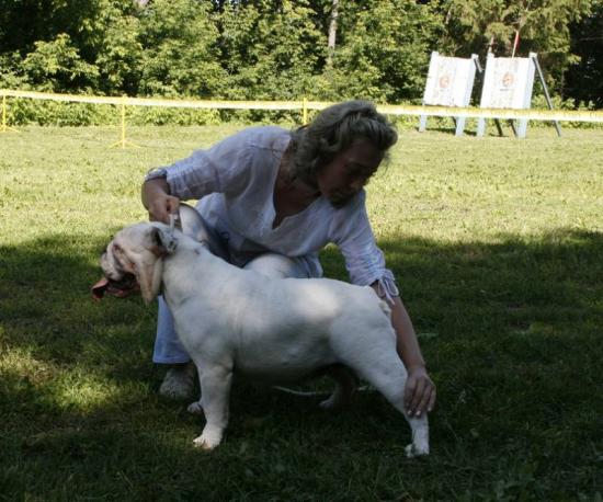 Чебоксары монка