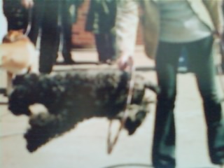 SP_A0099.jpg