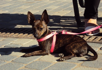 j_GOsDYHcuM_jpg_337x232_crop_upscale_q95.jpg