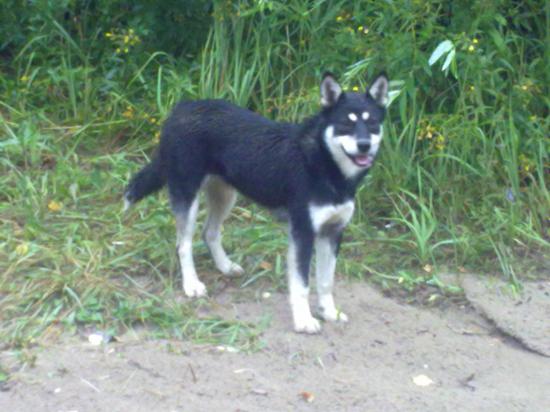 29072011164.jpg