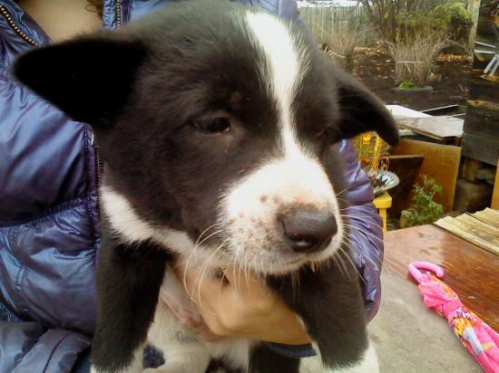 DSC00170.JPG
