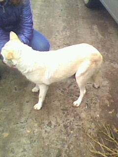 IMG0494A.jpg