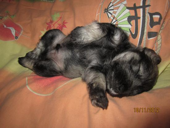 IMG_3558.JPG