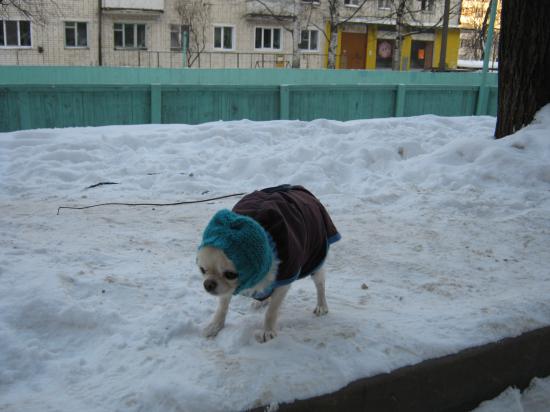 IMG_3553.JPG